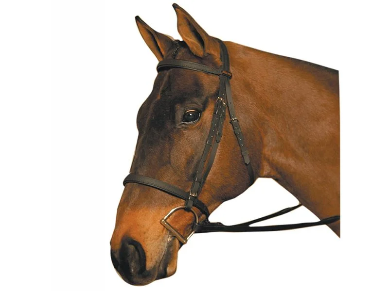 horsesaddleshop202607250204193307157
