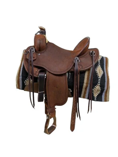 saddleupcolorado202607242229273285756