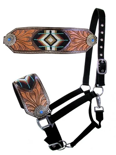 saddleupcolorado202607242242203287119