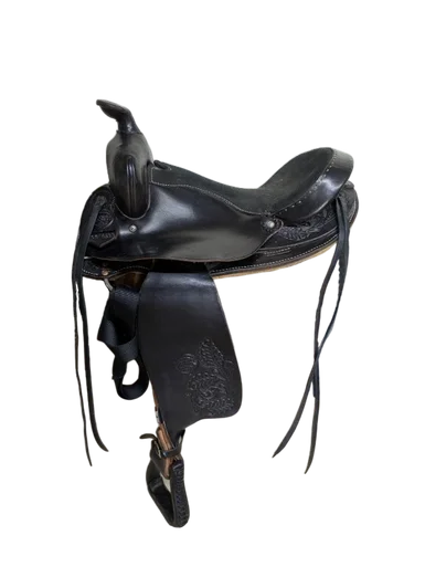 saddleupcolorado202607242246583287604