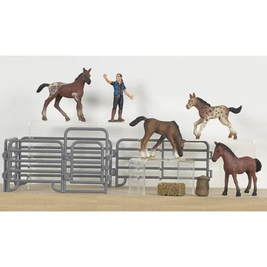 saddleupcolorado202607242248113287721