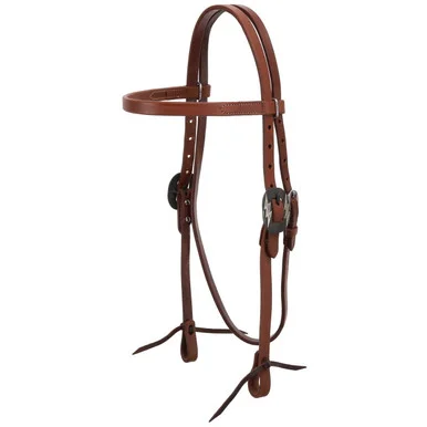 saddleupcolorado202607242253233288248