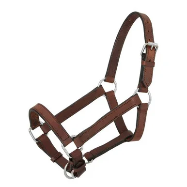 saddleupcolorado202607242312323290159