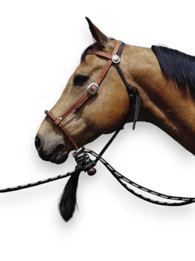 saddleupcolorado202607242353163294157