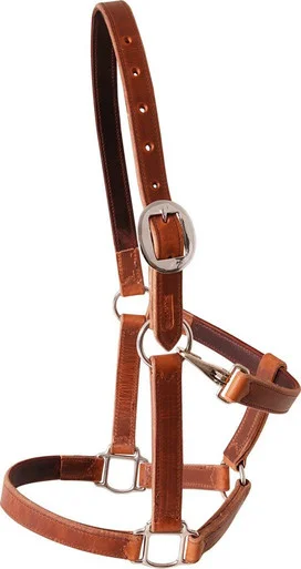 saddleupcolorado202607242355133294367