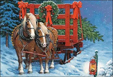 saddleupcolorado202607242356393294503