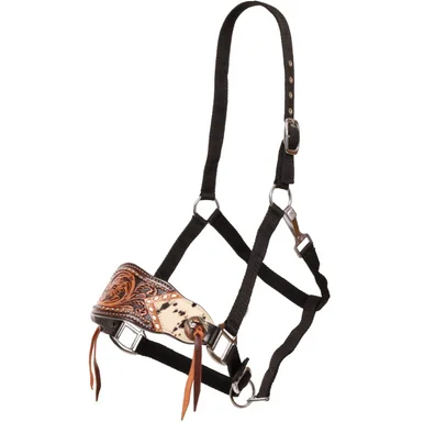 saddleupcolorado202607250001513295025