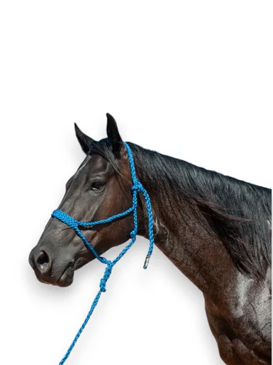 saddleupcolorado202607250038193298276