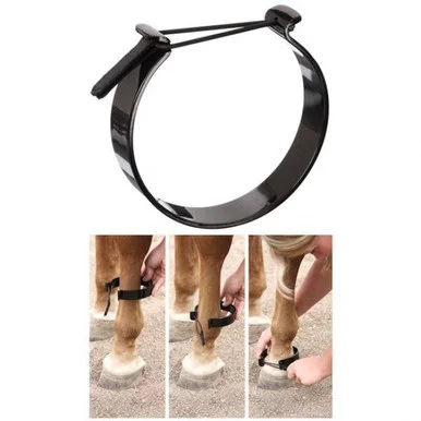 saddleupcolorado202607250048533299280