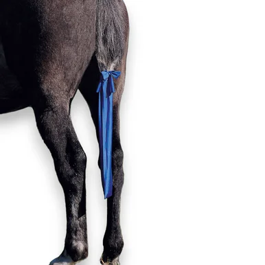 saddleupcolorado202607250056403300048