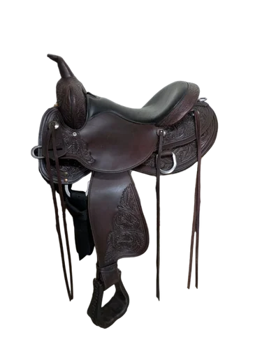 saddleupcolorado202607250058583300286