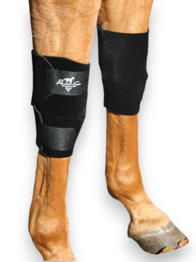 saddleupcolorado202607250124313302842