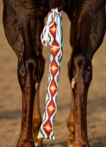 saddleupcolorado202607250125573302958