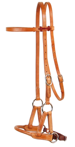 saddleupcolorado202607250129443303320