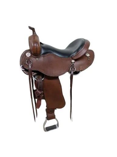 saddleupcolorado202607250137043304096