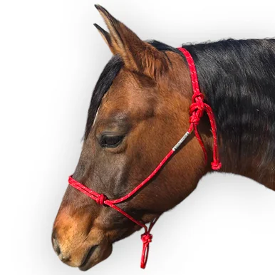 saddleupcolorado202607250138043304222