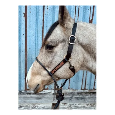 saddleupcolorado202607250139363304387