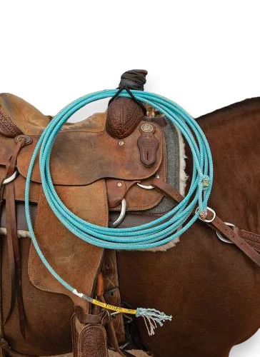 saddleupcolorado202607250144033304857