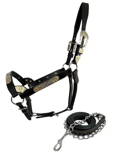 saddleupcolorado202607250144513304941