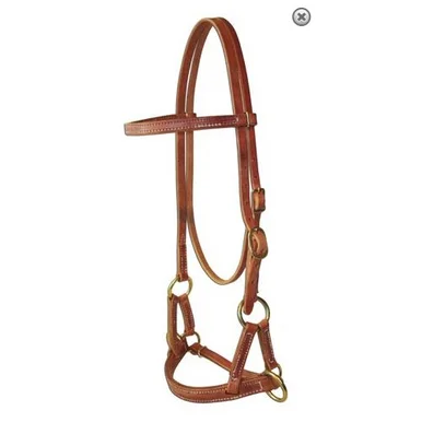 saddleupcolorado202607250204383307196