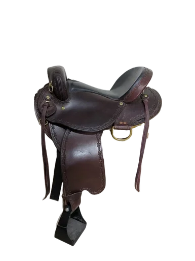 saddleupcolorado202607250208383307677