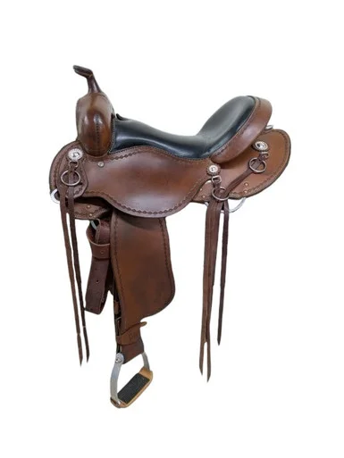 saddleupcolorado202607250227193309527