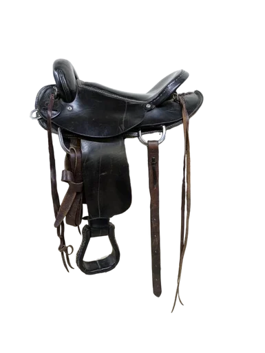 saddleupcolorado202607250230133309813