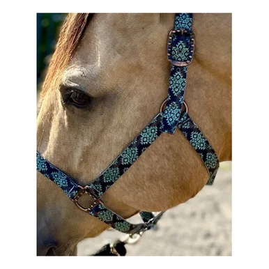 saddleupcolorado202607250235303310342