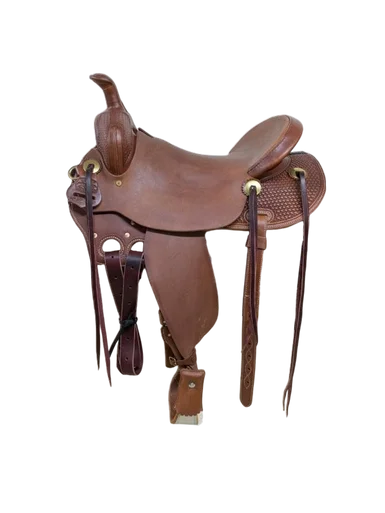 saddleupcolorado202607250237093310501