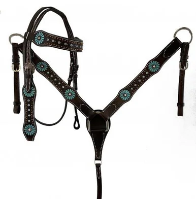 saddleupcolorado202607250237523310571