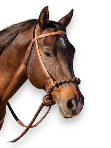 saddleupcolorado202607250244333311269