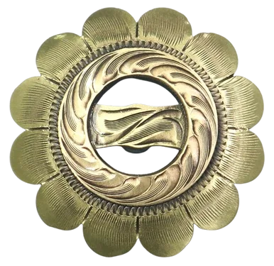 saddleupcolorado202607250246003311442