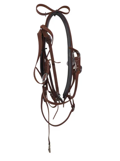 saddleupcolorado202607250256333312592