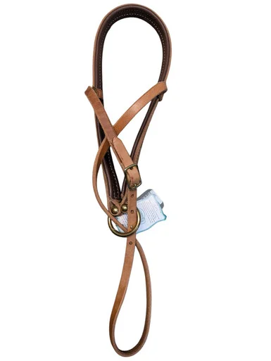 saddleupcolorado202607250310573314043