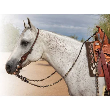 saddleupcolorado202607250311363314108