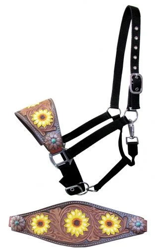 saddleupcolorado202607250312143314178