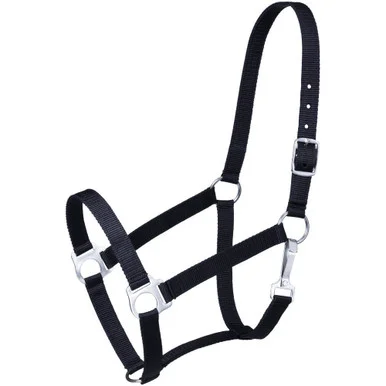 saddleupcolorado202607250320533315037