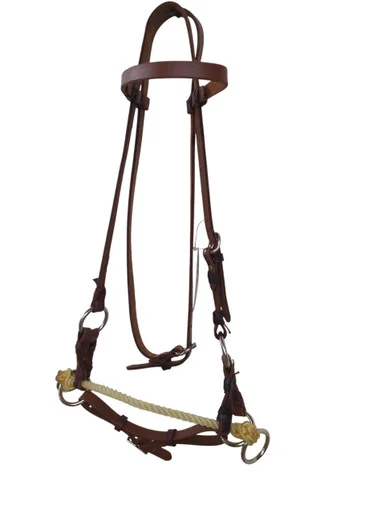 saddleupcolorado202607250324553315409