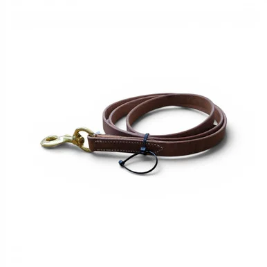 saddleupcolorado202607250326073315546