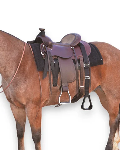 saddleupcolorado202607250327183315696