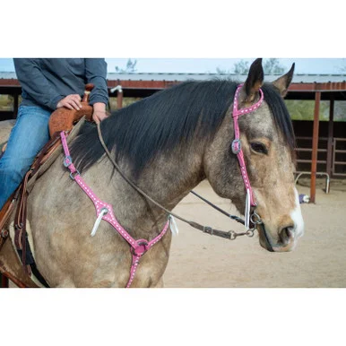 saddleupcolorado202607250343043317489
