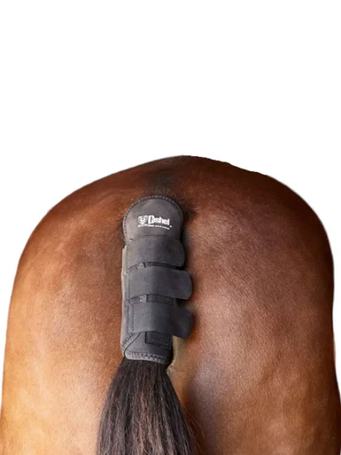 saddleupcolorado202607250344183317625