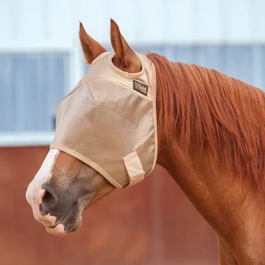 saddleupcolorado202607250400353319361