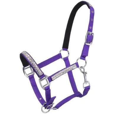 saddleupcolorado202607250403303319645