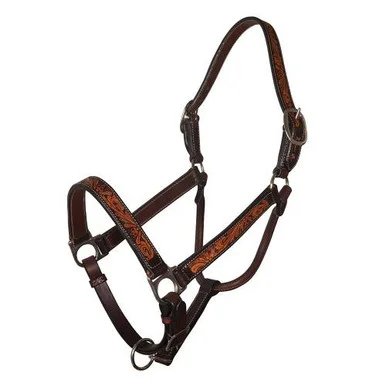 saddleupcolorado202607250403323319649