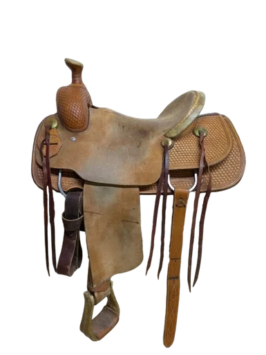 saddleupcolorado202607250406593319955