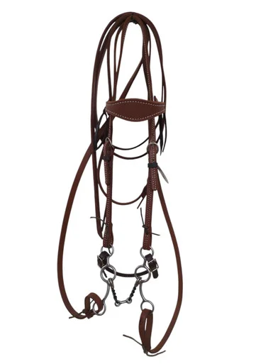 saddleupcolorado202607250409533320227