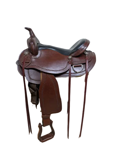 saddleupcolorado202607250410303320290