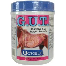 stagecoachwest202607242222093284923